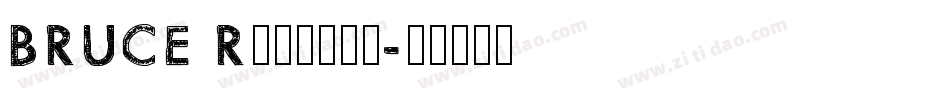 BRUCE Regular字体转换